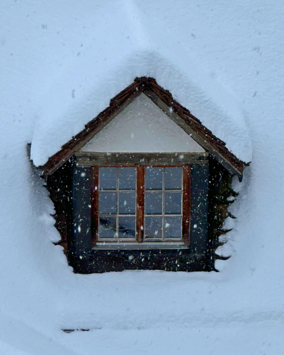 #24 | Bern | Schweiz